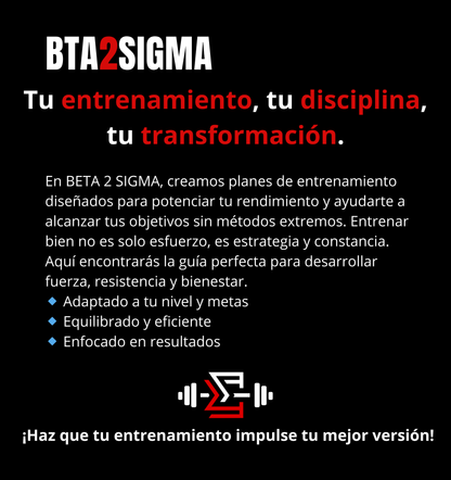 Plan De Entrenamiento - BTA2SIGMA