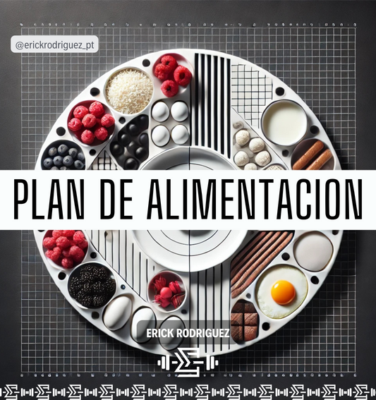 Plan De Alimentación - BTA2SIGMA